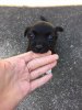 upload_2017-9-18_21-15-24.jpeg