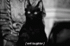 Evil Cat Laugh 01.gif