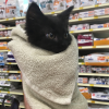the eyes on this purrito.png